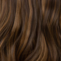 Dark Brown with Blonde Highlight